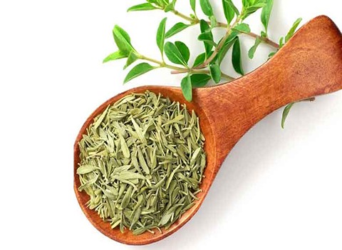 تصویر 4 از فروش سبزی خشک آویشن + قیمت خرید به صرفه